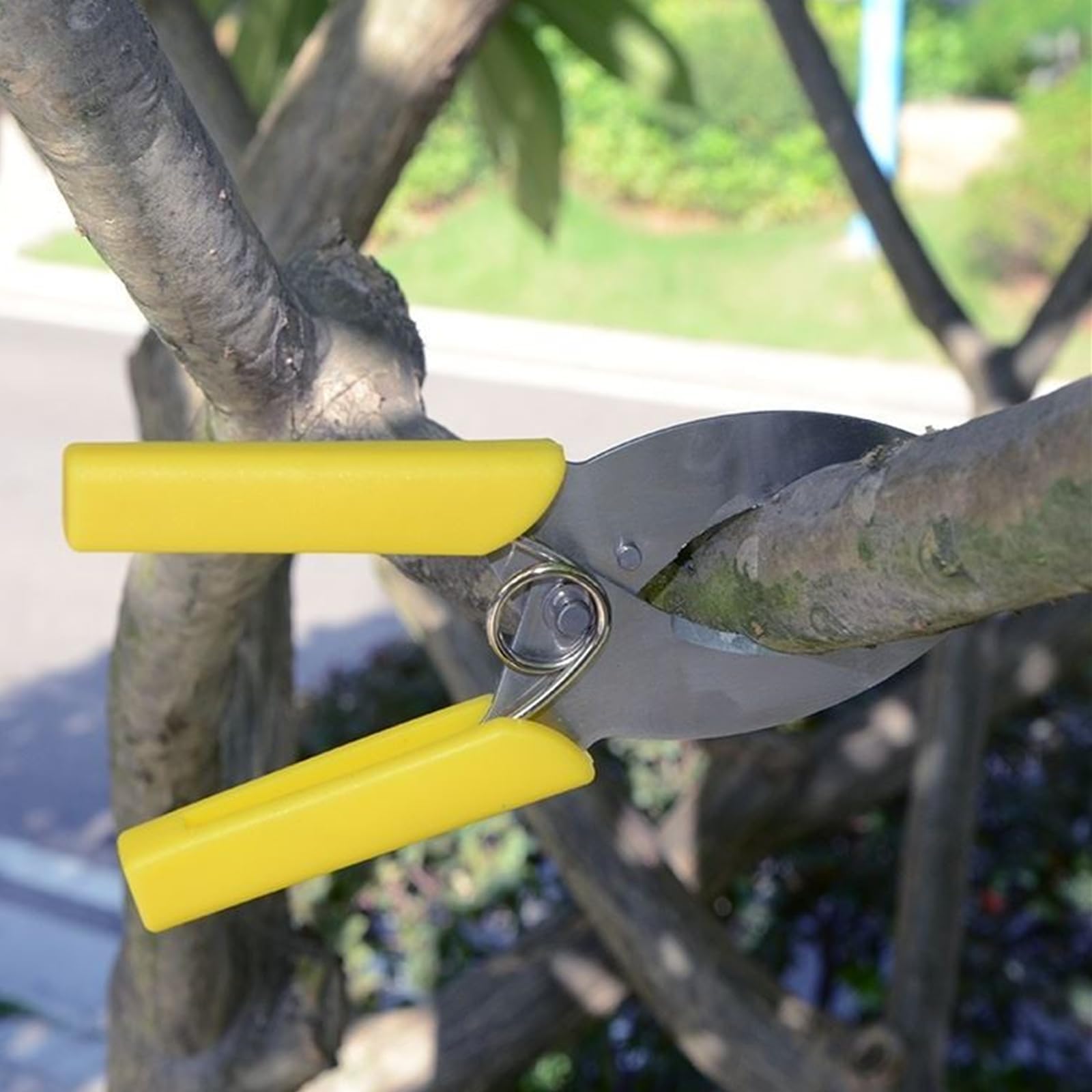 FJYXCHENXM grafting tool set supports girdling and bark peeling tasks