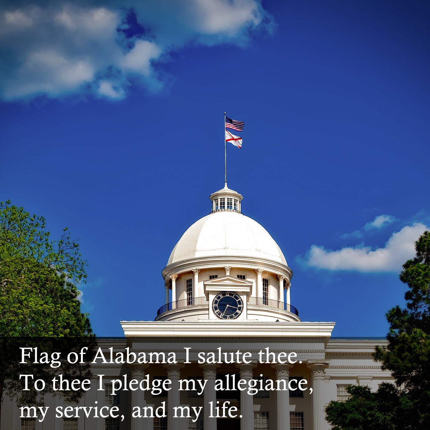 FLAGBURG all-weather flag with four-row stitching on the fly hem.