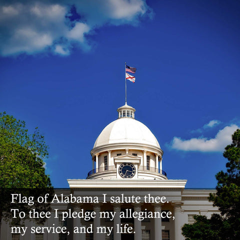 FLAGBURG all-weather flag with four-row stitching on the fly hem.