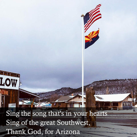 FLAGBURG Arizona flag waving in wind for outdoor visibility.