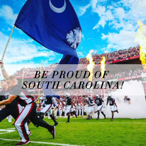 Flagburg South Carolina flag with embroidered palmetto leaf for enduring detail