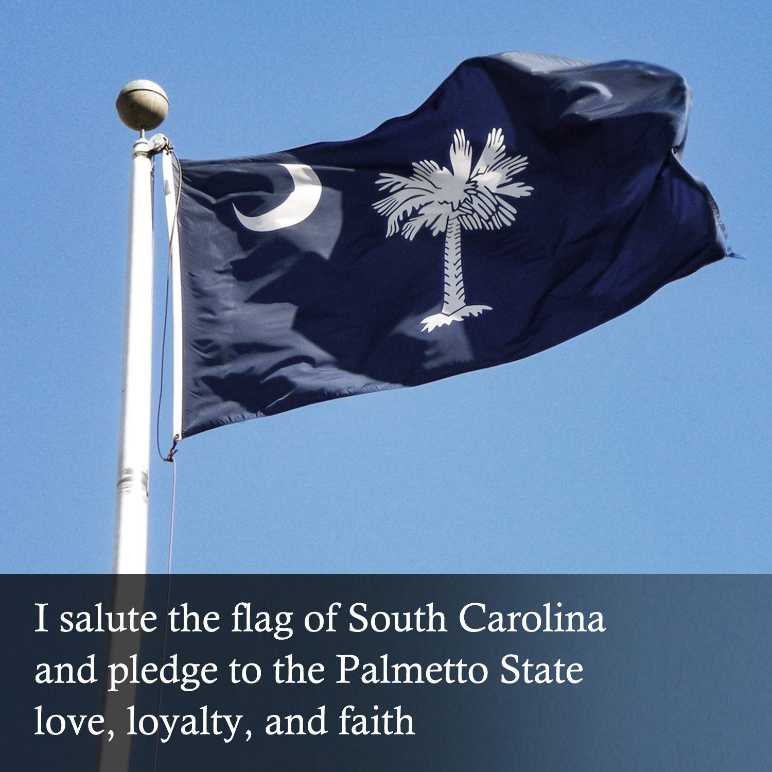 Flagburg South Carolina flag on porch or garden display for pride