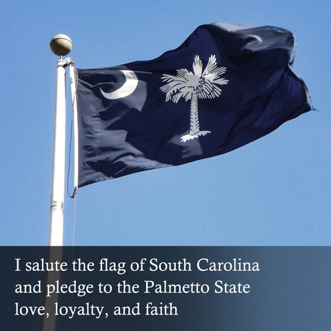 Flagburg South Carolina flag on porch or garden display for pride