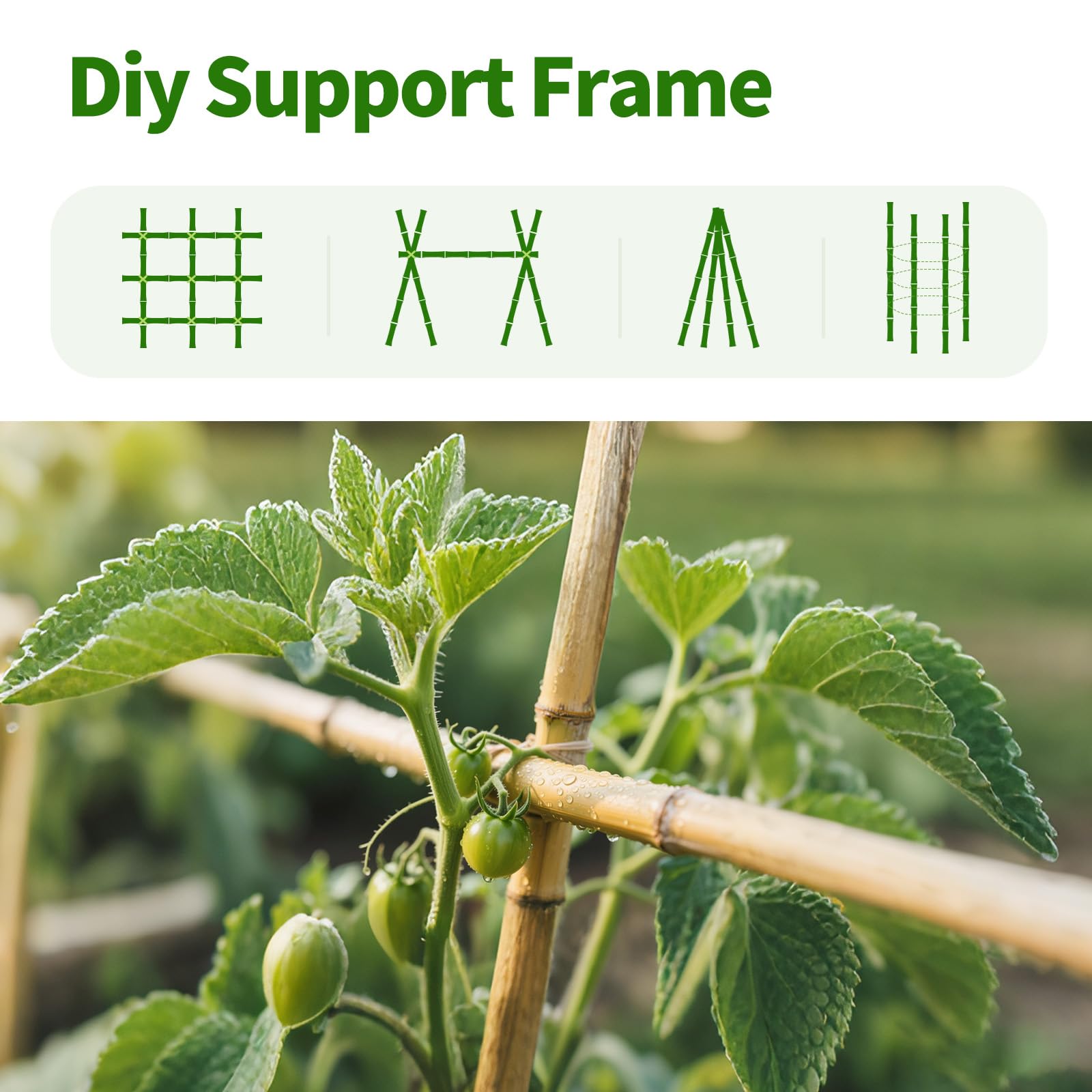FlaggeZG bamboo stake supports tomato plants with a sturdy grip.