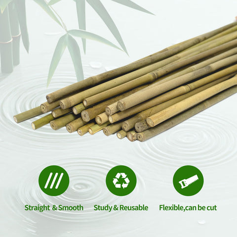 FlaggeZG plant stakes for indoor and outdoor use, versatile garden support.