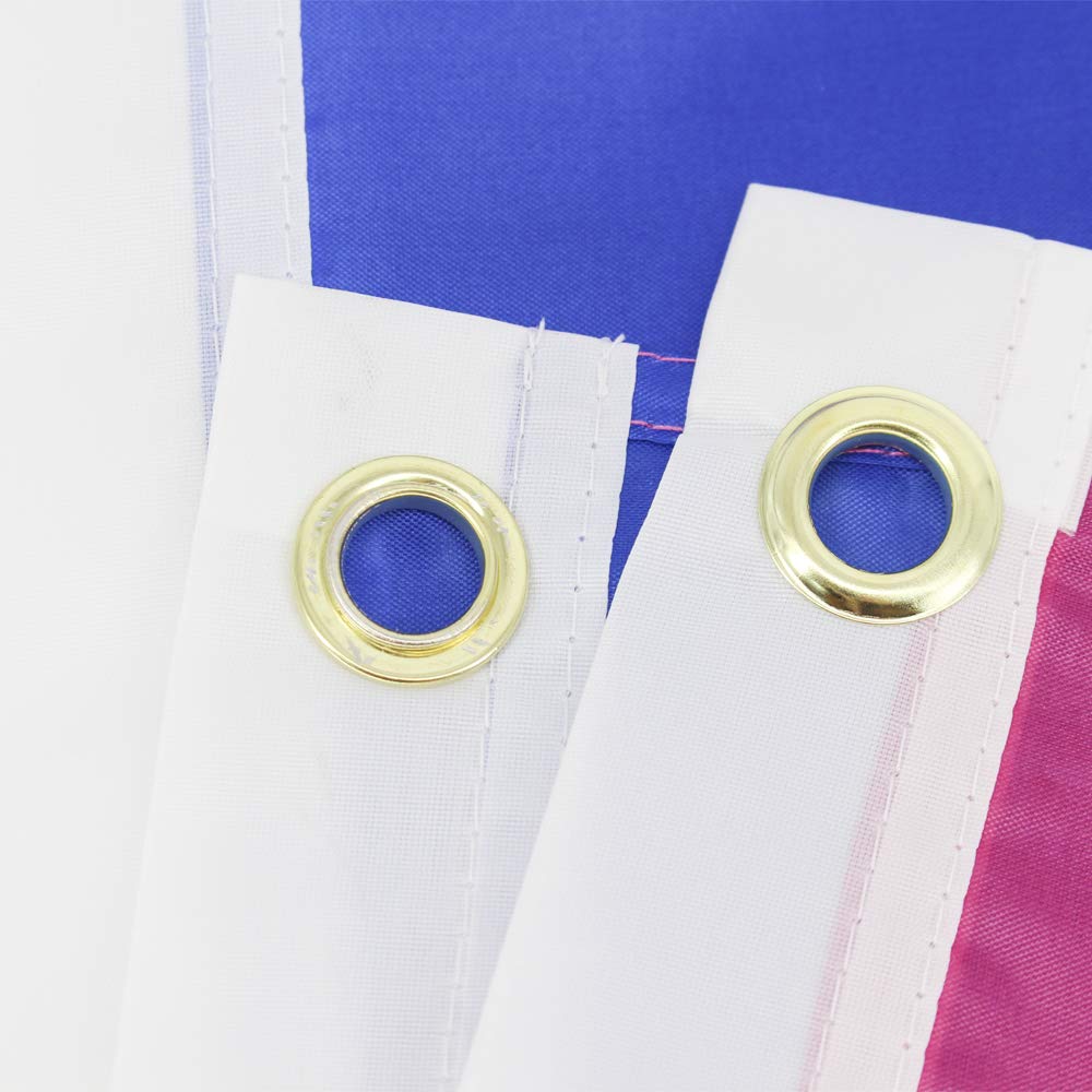 FLAGLINK Bisexual Pride Flag suitable for wall or pole display outdoors