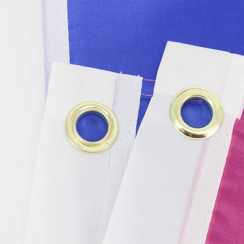 FLAGLINK Bisexual Pride Flag suitable for wall or pole display outdoors