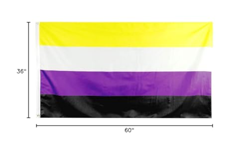 Flaglink Nonbinary Pride Flag with brass grommets for reliable mounting.