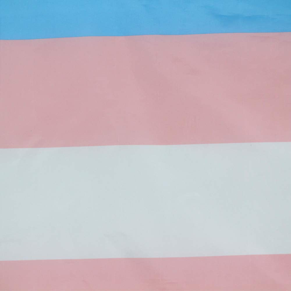 Flaglink transgender flag 3x5 ready for outdoor pride displays.