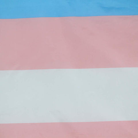 Flaglink transgender flag 3x5 ready for outdoor pride displays.