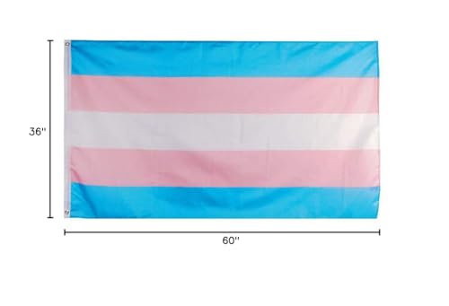 Flaglink transgender flag 3x5 size banner for pride events.