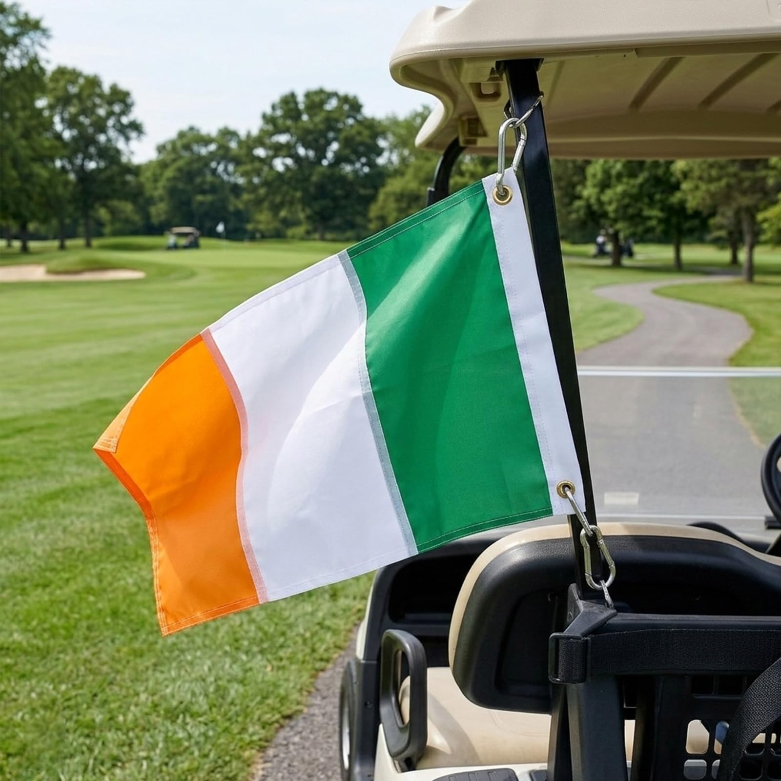 FLAGPARK Irish flag porch or office display for versatile décor
