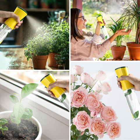 FLAIROSOL Botanica ideal for misting flowers, succulents, and bonsai