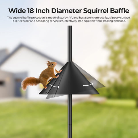 Flanagan outdoor feeding station view ideal for bird watching