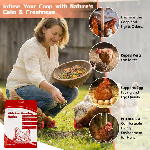 FLAREFX 7-herb blend supports a clean, inviting coop space for hens.