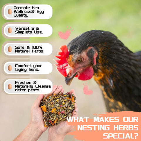 FLAREFX safe, natural, non-toxic herbs keeping the coop smelling fresh.