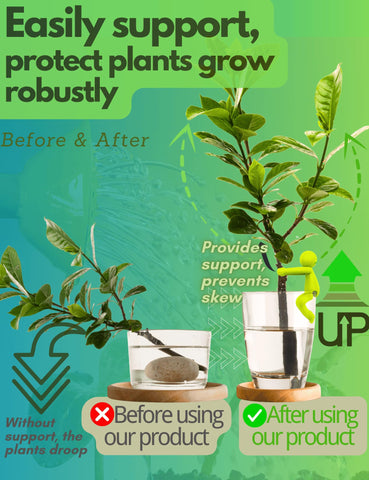 FlaSloth Leaf Friend securely holds cuttings on a glass vase