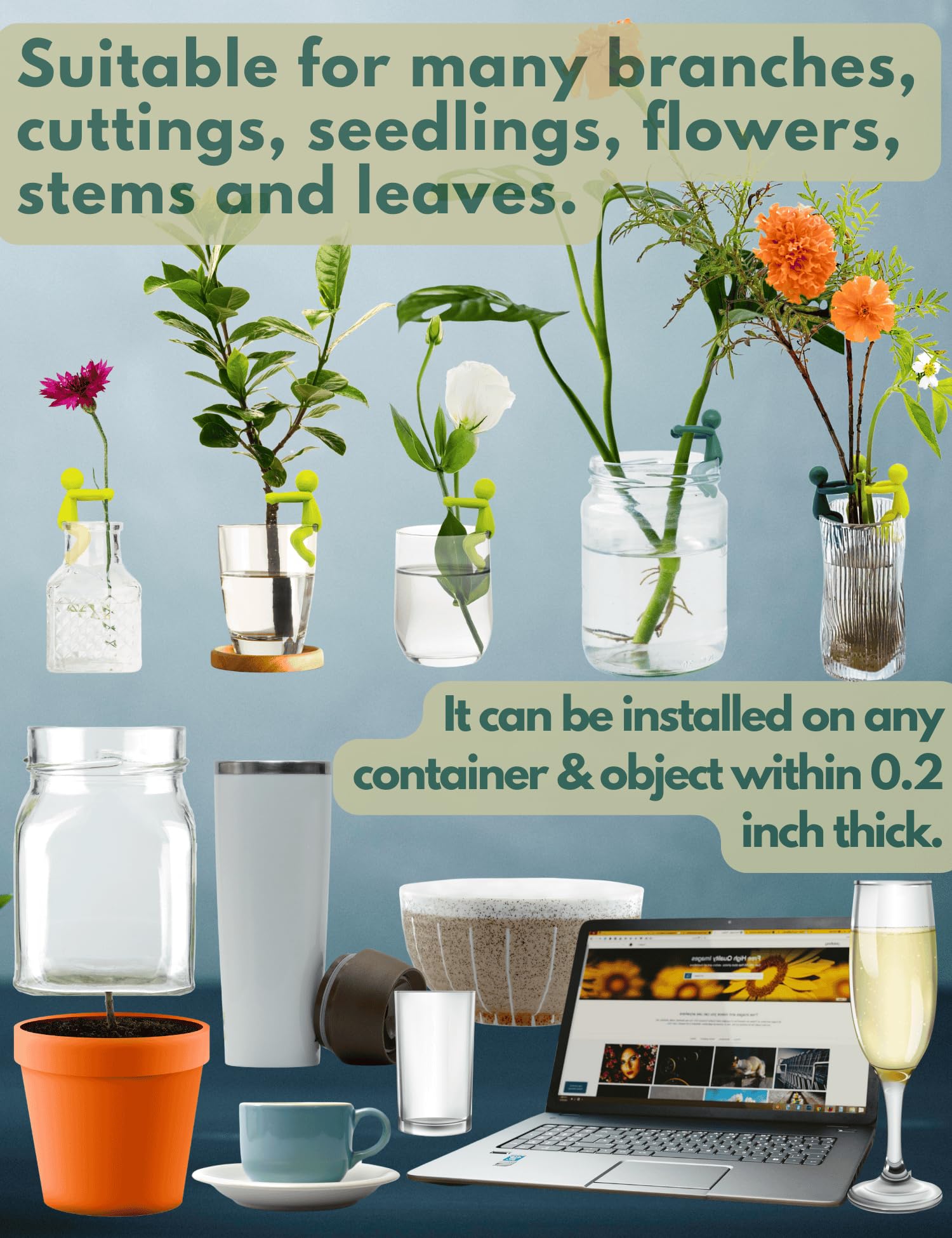 FlaSloth Leaf Friend decorative and functional plant accessory collection