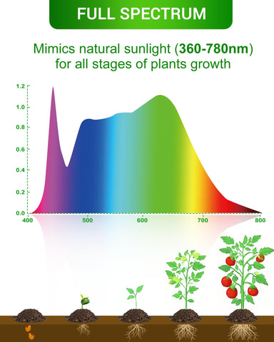 Flaspar A19 Grow Light Bulbs at 1100 lumens for bright indoor light