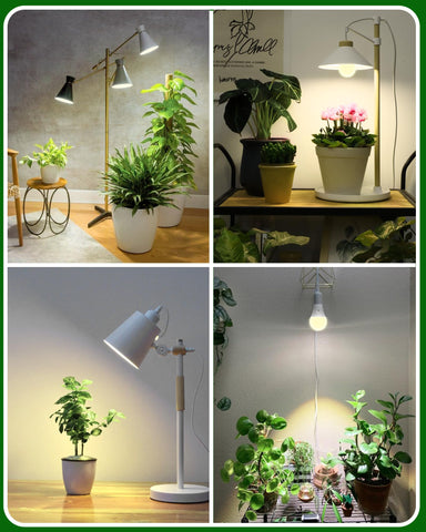 Flaspar A19 Grow Light Bulbs energy-saving design reducing electrical use