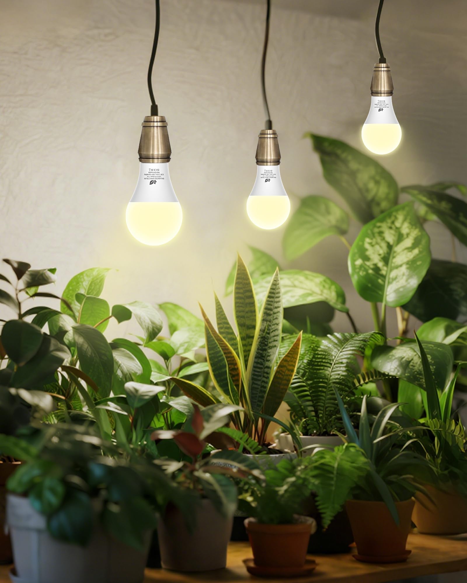 Flaspar A19 Grow Light Bulbs full spectrum highlighting spectrum range