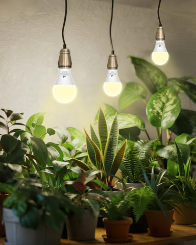 Flaspar A19 Grow Light Bulbs full spectrum highlighting spectrum range