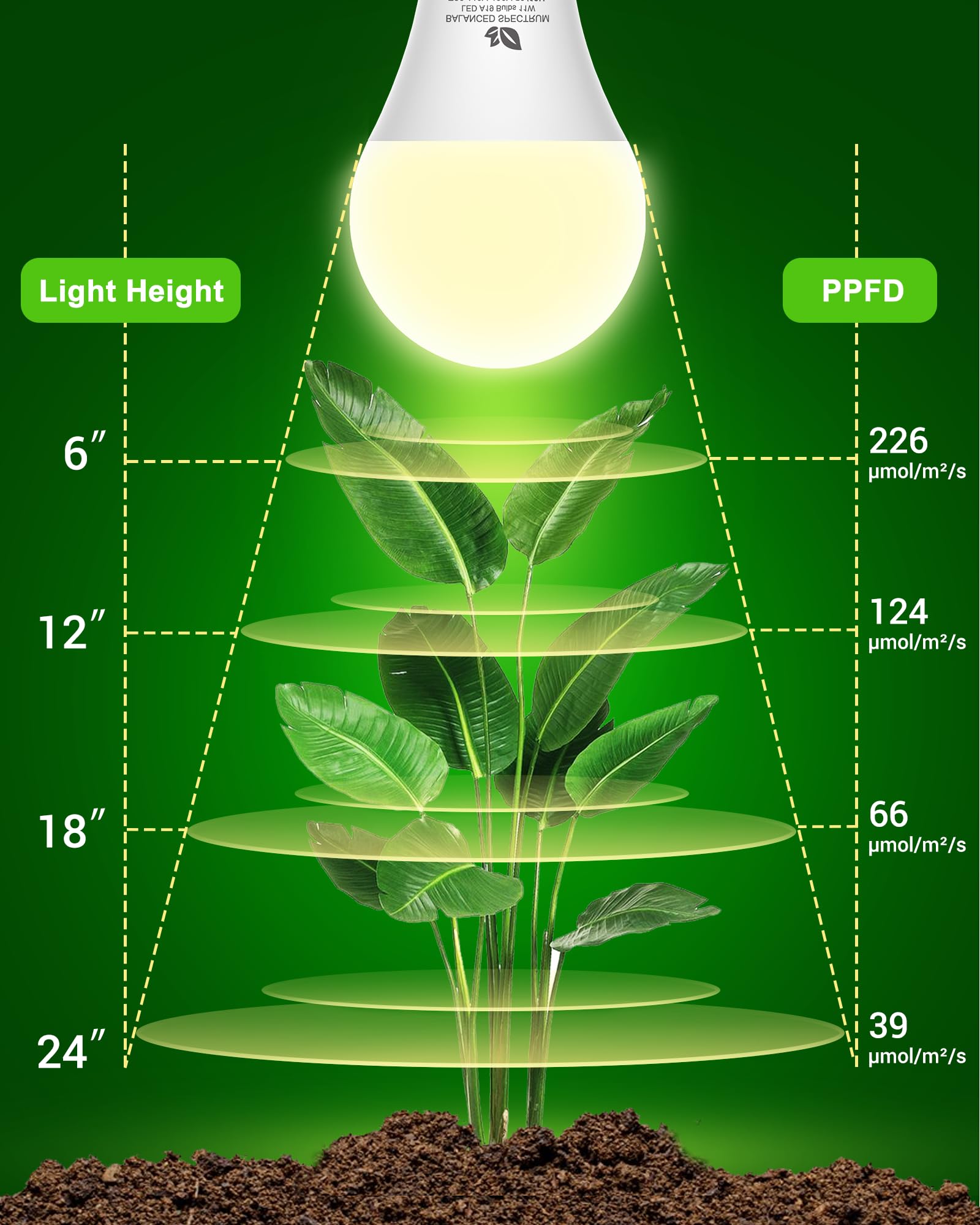 Flaspar A19 Grow Light Bulbs in indoor garden setup for seedlings