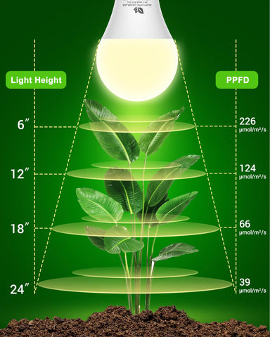 Flaspar A19 Grow Light Bulbs in indoor garden setup for seedlings