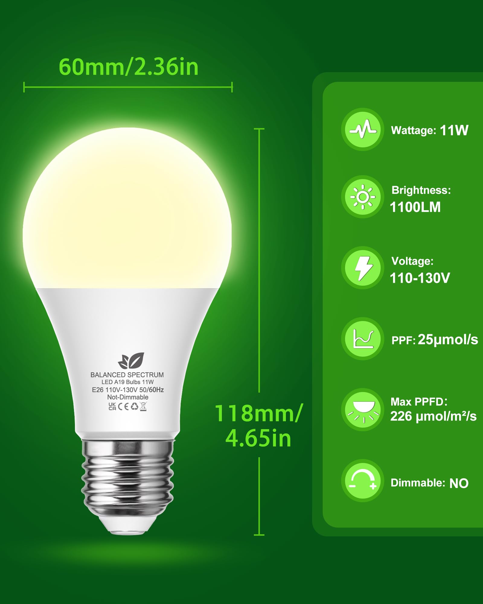 Flaspar A19 Grow Light Bulbs low heat emission protecting plants