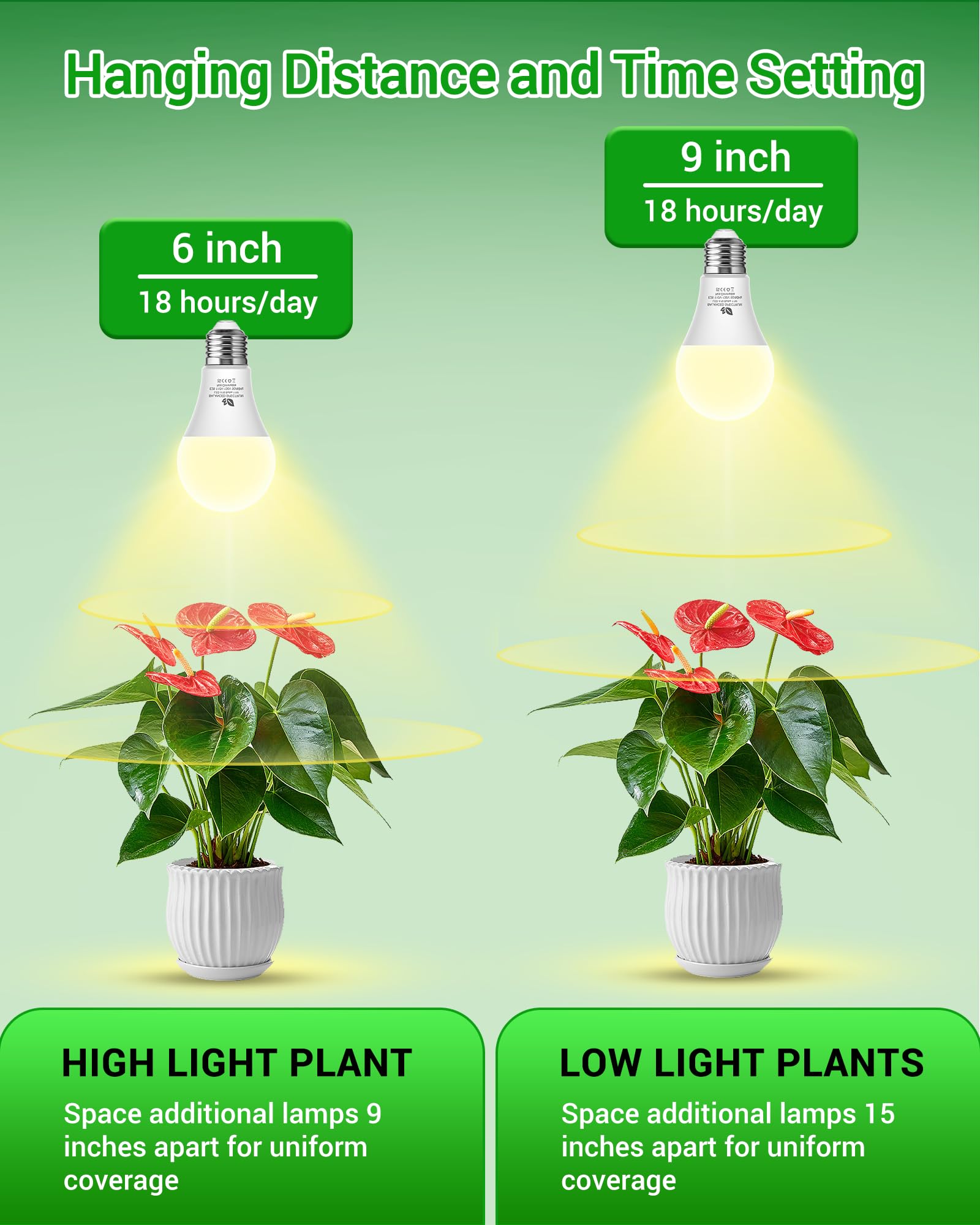 Flaspar A19 Grow Light Bulbs over plants demonstrating indoor lighting