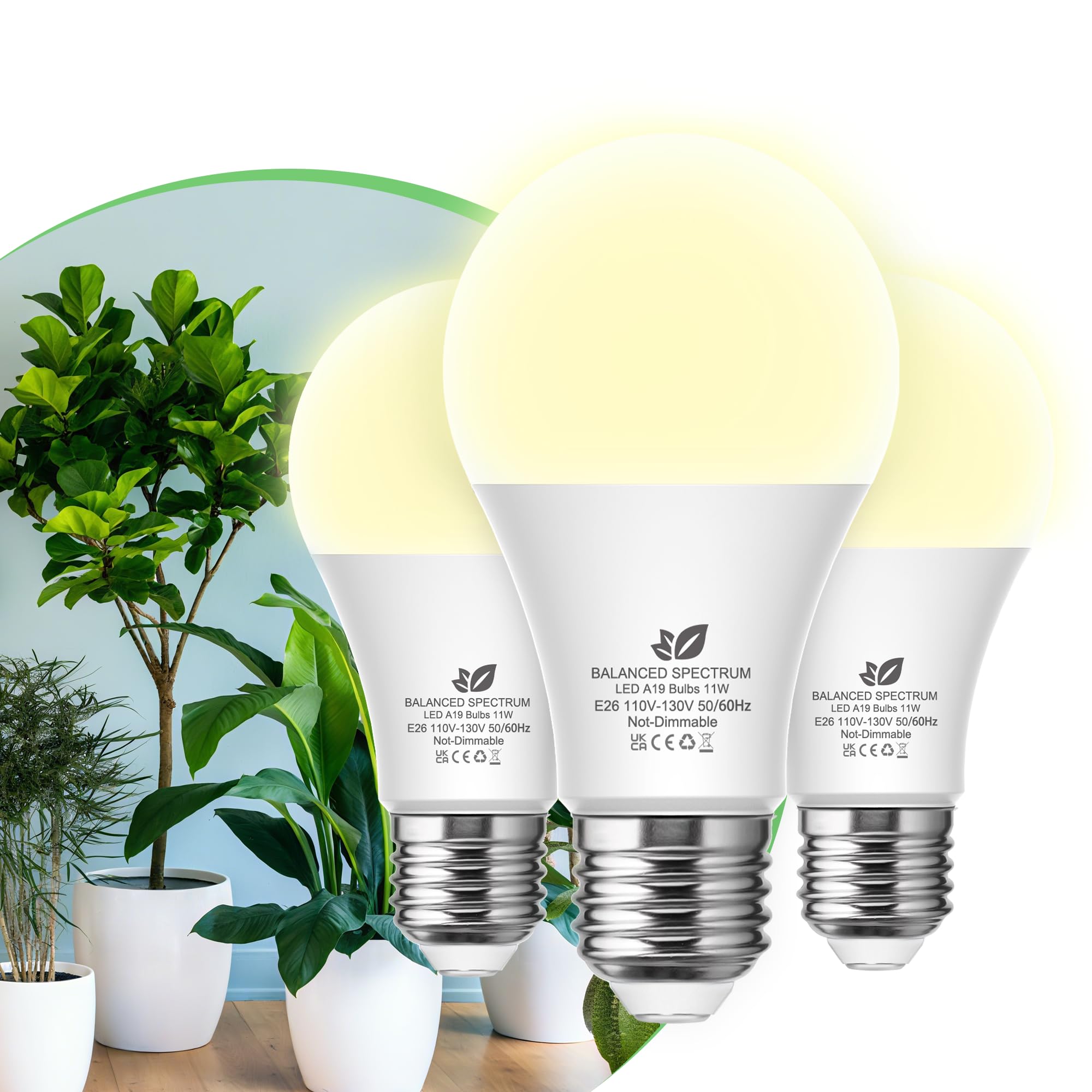 Flaspar A19 Grow Light Bulbs 3-pack packaging for multi-room use