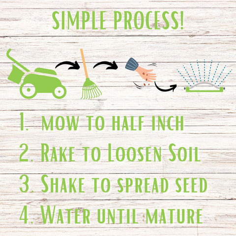 Flawn Seed Kits drought-tolerant lawn with reduced watering needs.