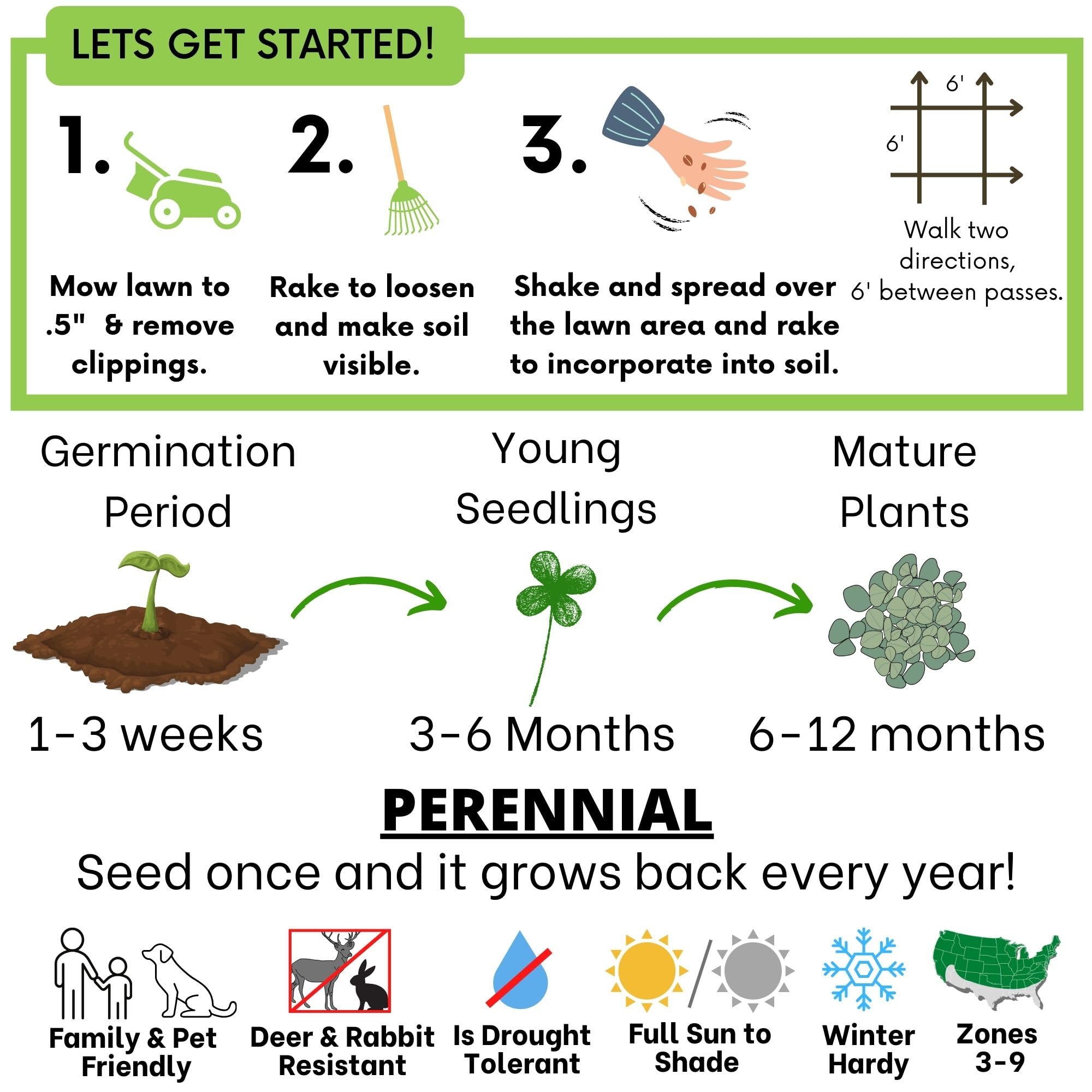 Flawn Seed Kits kid-friendly, pet-friendly lawn with flowering clover.