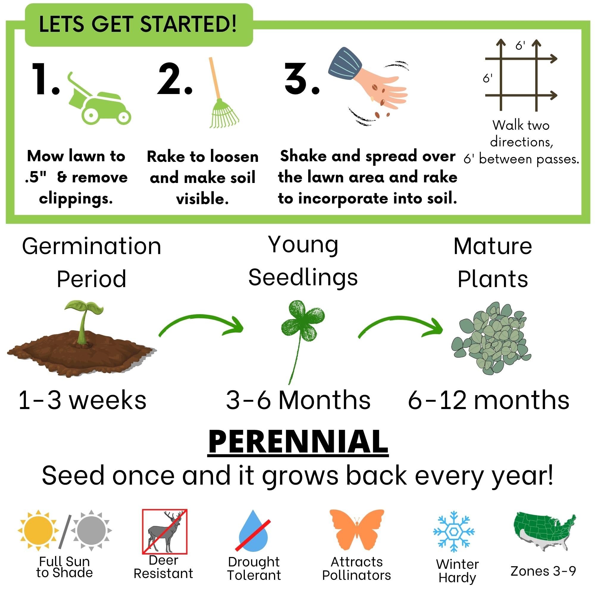 Flawn Seed Kits low maintenance lawn reduces mowing and upkeep over time.