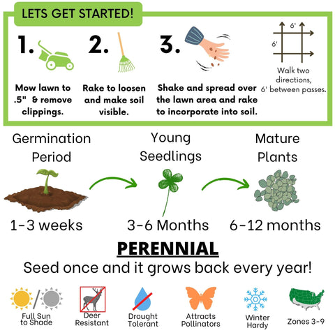 Flawn Seed Kits low maintenance lawn reduces mowing and upkeep over time.