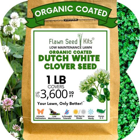 Flawn Seed Kits White Dutch Clover seed packet for a pollinator-friendly lawn.