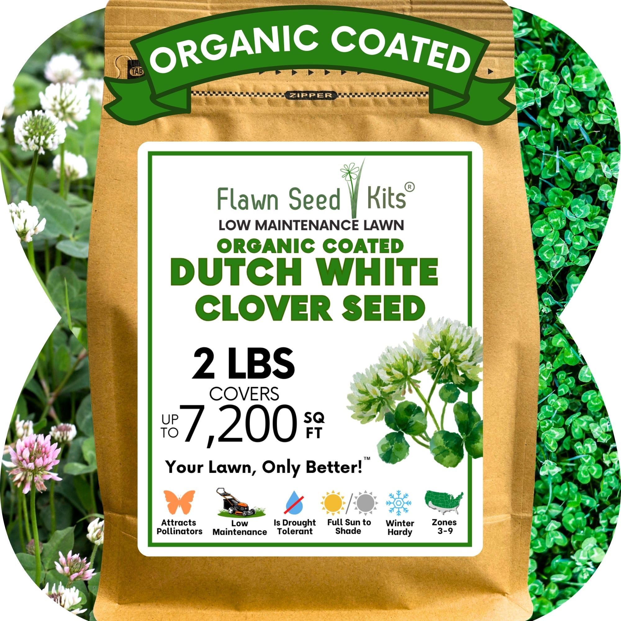 Flawn Seed White Dutch Clover Seeds ready to plant for an organic lawn transformation.
