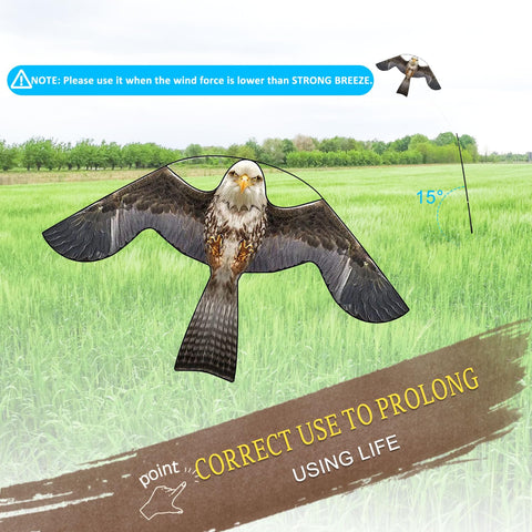 Flerigh Bird Hawk kite in farm use protecting crops from birds