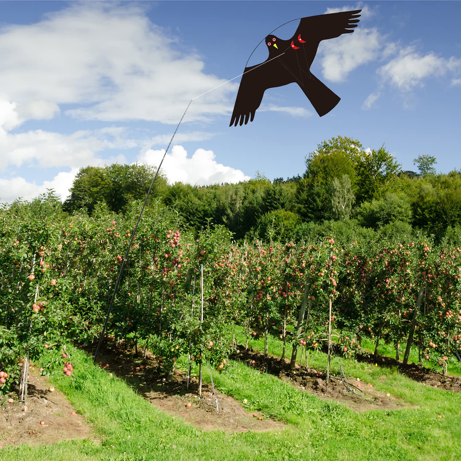 Flerigh laser-cut design kite with double stitching for long-lasting use.