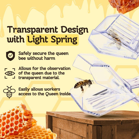 Flexzion queen clip pack of five for multiple hives