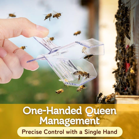 Flexzion ventilated queen catcher with airflow around the queen