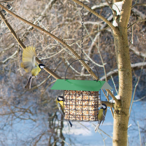 FLINTER Bird Feeder easy-refill design simplifies loading suet or blocks.