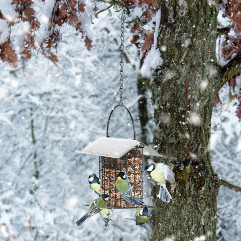 FLINTER Bird Feeder with lid open for easy refilling and cleaning.