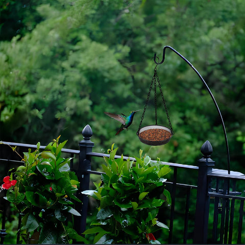 Flinter birds gathering on feeder for lively garden activity