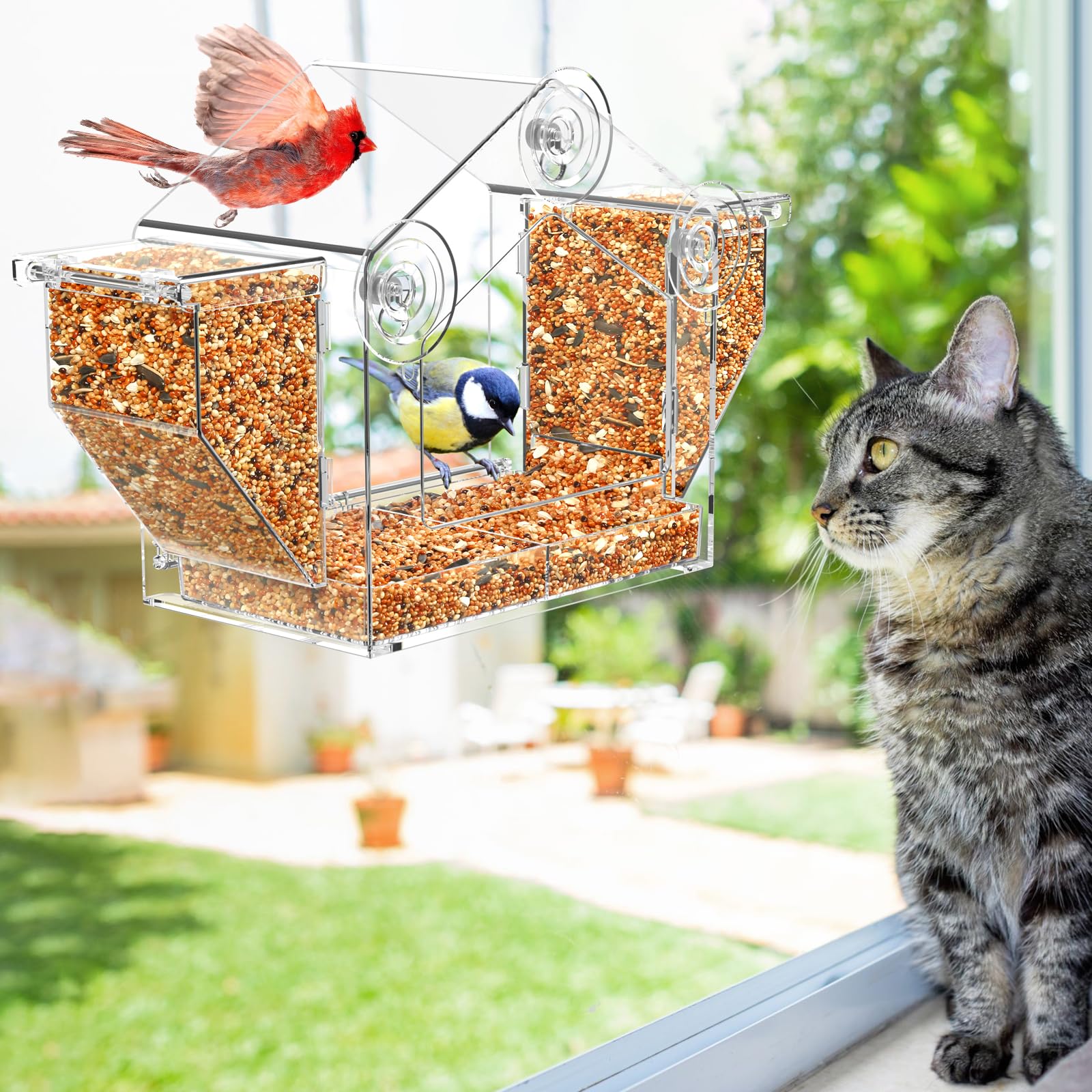 FLINTER Indoor viewing engages seniors and cats with nature from indoors