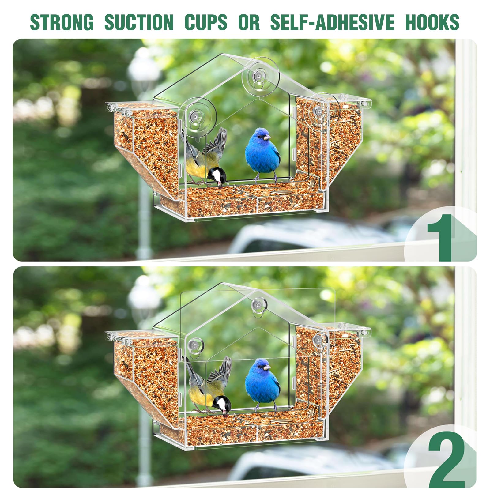FLINTER Thoughtful nature gift for bird lovers and apartment dwellers