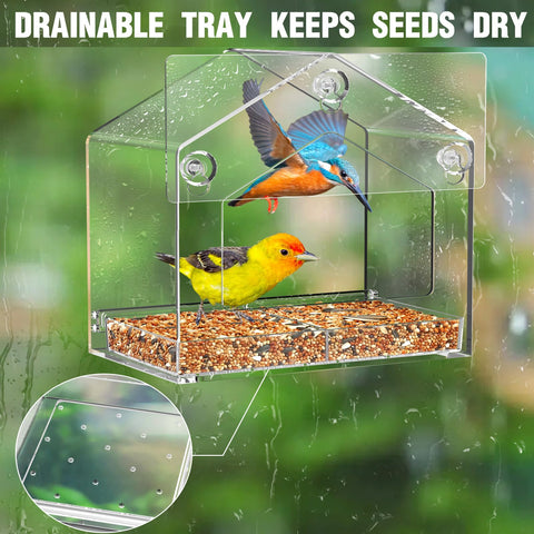 FLINTER Window Feeder drainable tray keeps seeds dry and accessible.