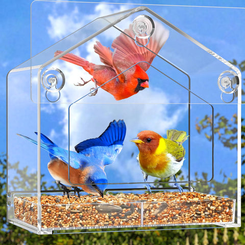 FLINTER Window Feeder gift for bird lovers and cat households.
