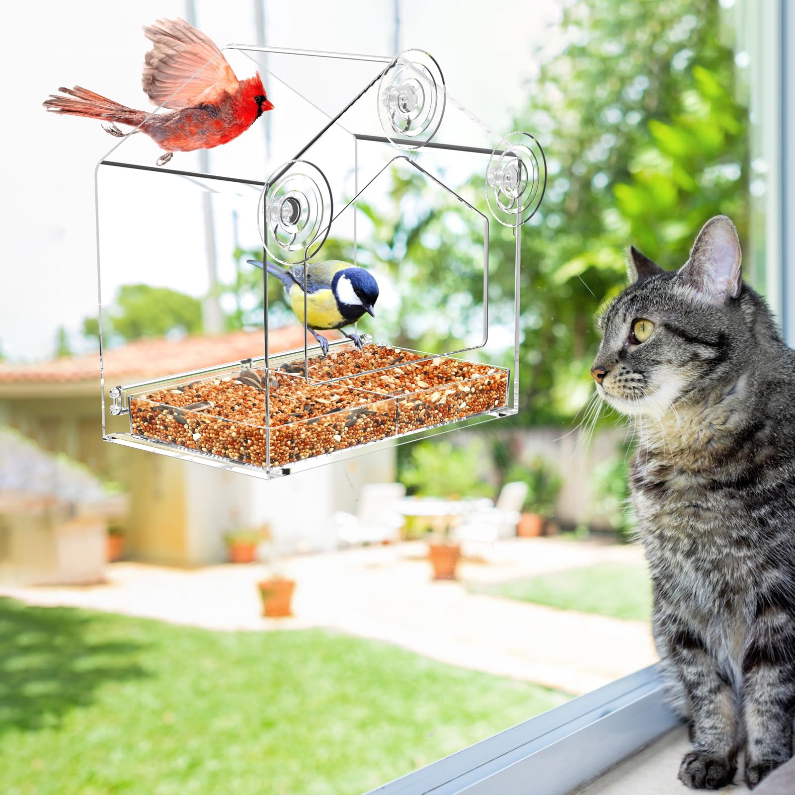 FLINTER Window Feeder large entrance accommodates bigger birds for easier viewing.