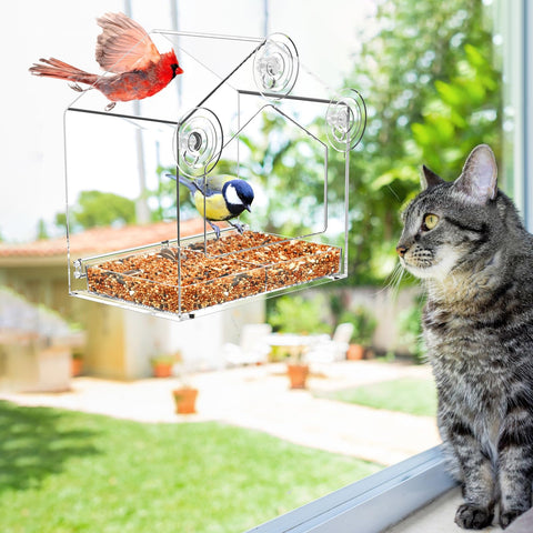 FLINTER Window Feeder large entrance accommodates bigger birds for easier viewing.